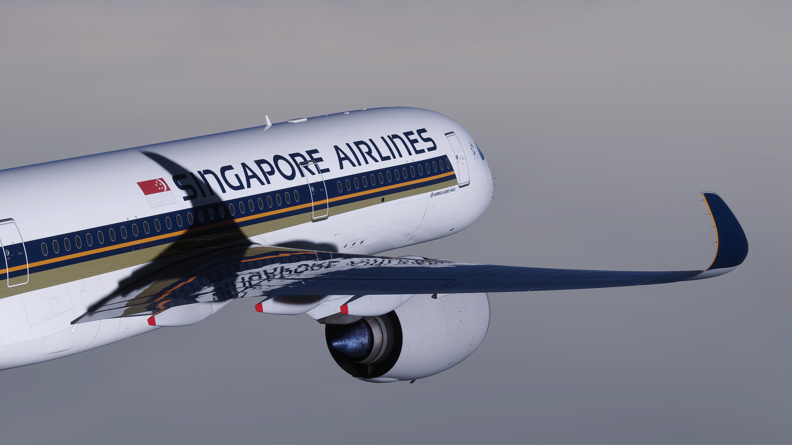 Singapore Airlines